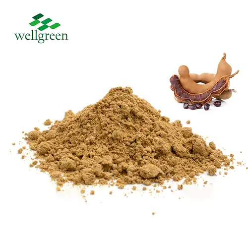 Tamarind Extract Powder